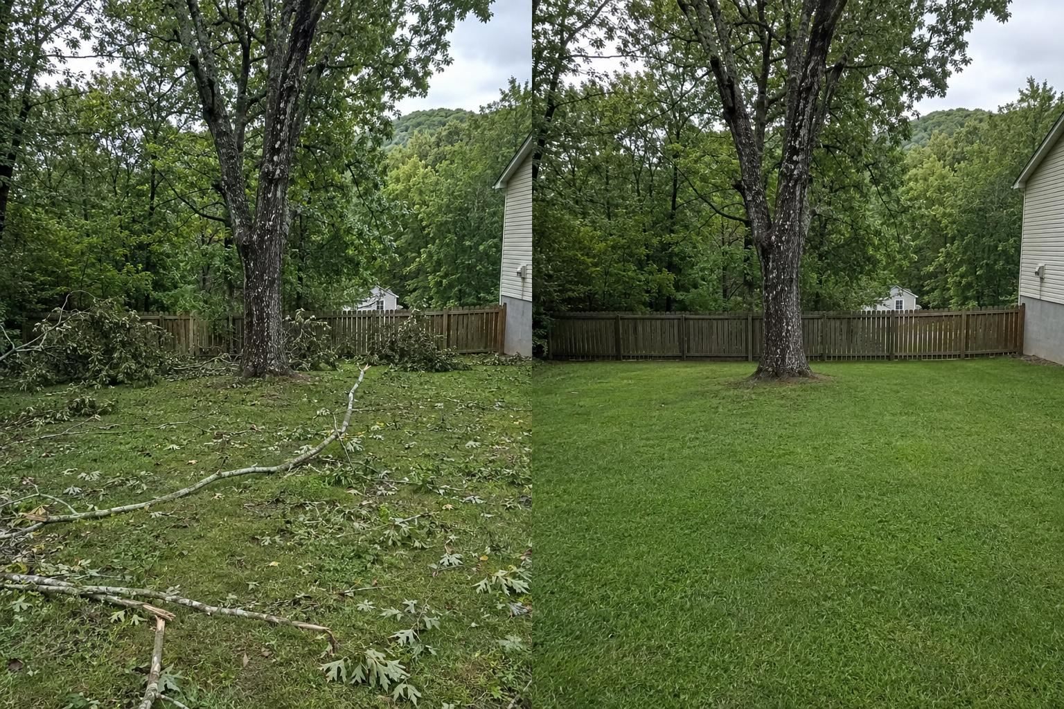 Representative before and after of storm debris removed from a residential yard